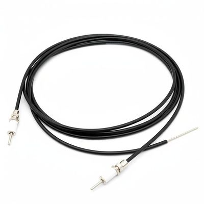 Platinum Resistor Temperature Probe dengan nilai B 5K sampai 100K dan 2p 4p Terminal untuk NTC Thermistor Temperature Sensor